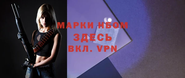 МДПВ Богородицк