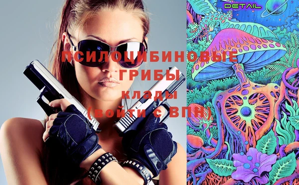 прущая мука Богородск